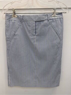 Tommy Hilfiger Striped Blue and White Lined Cotton Skirt